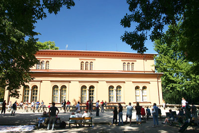 Petanque in Luzanky Park